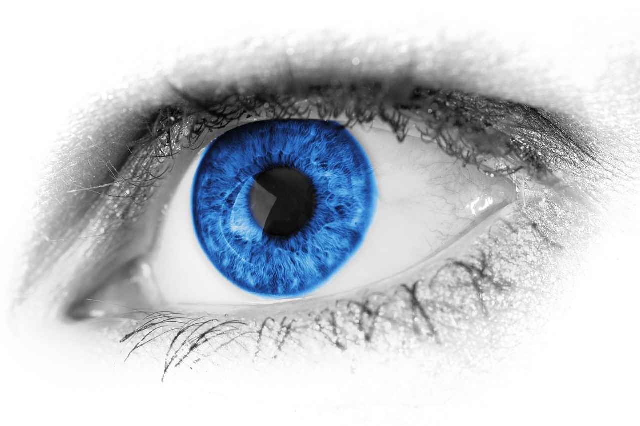 The Future of Night Vision in Action Cameras