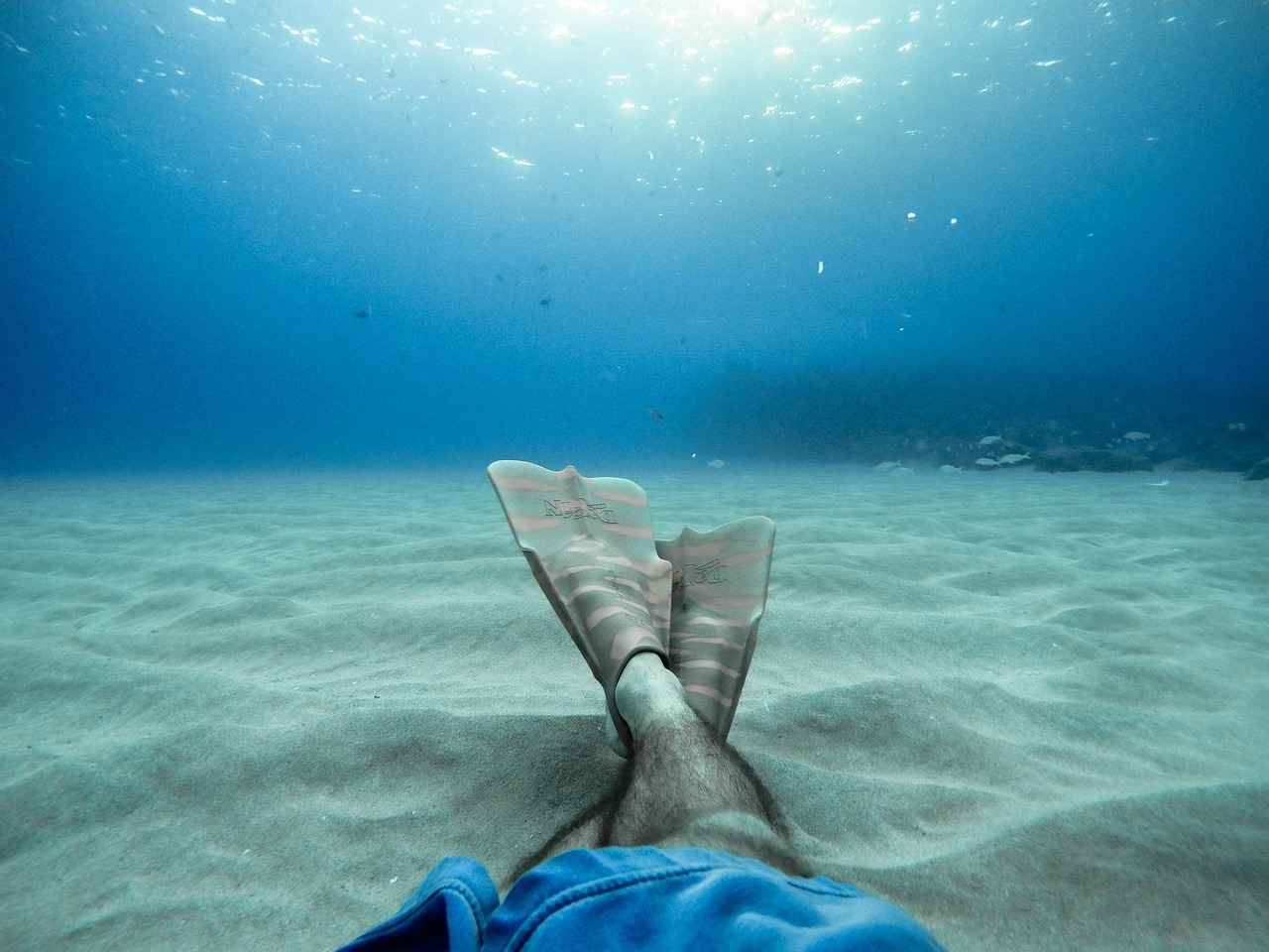What Are the Essential Accessories for Underwater Photography?