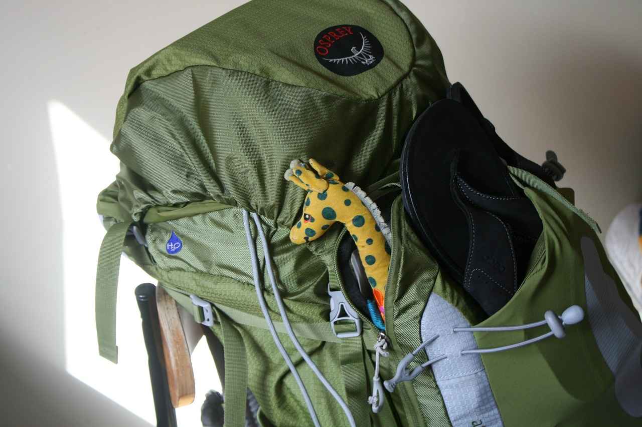 Where to Buy Action Camera Backpacks and Cases?