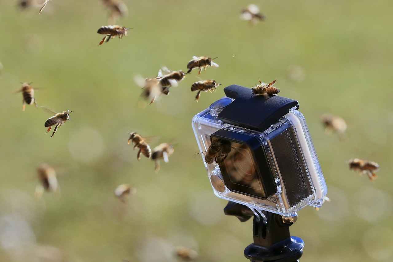 Top Action Camera Accessories You Should Consider