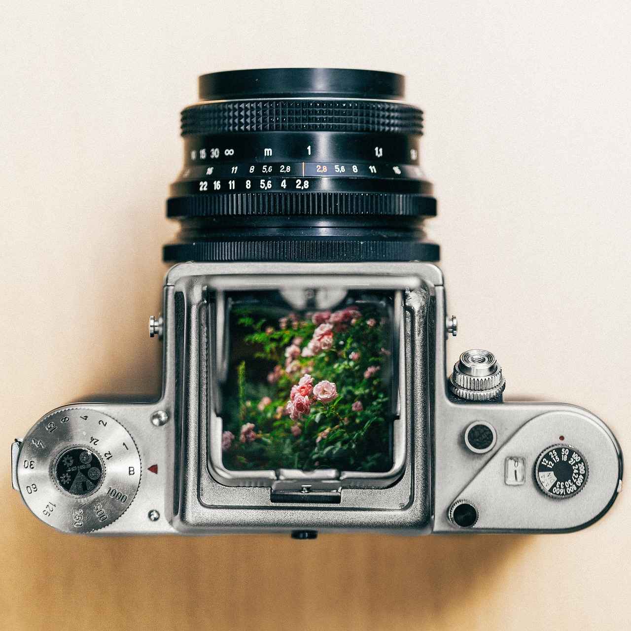 Comparing Action Cameras: Pros and Cons