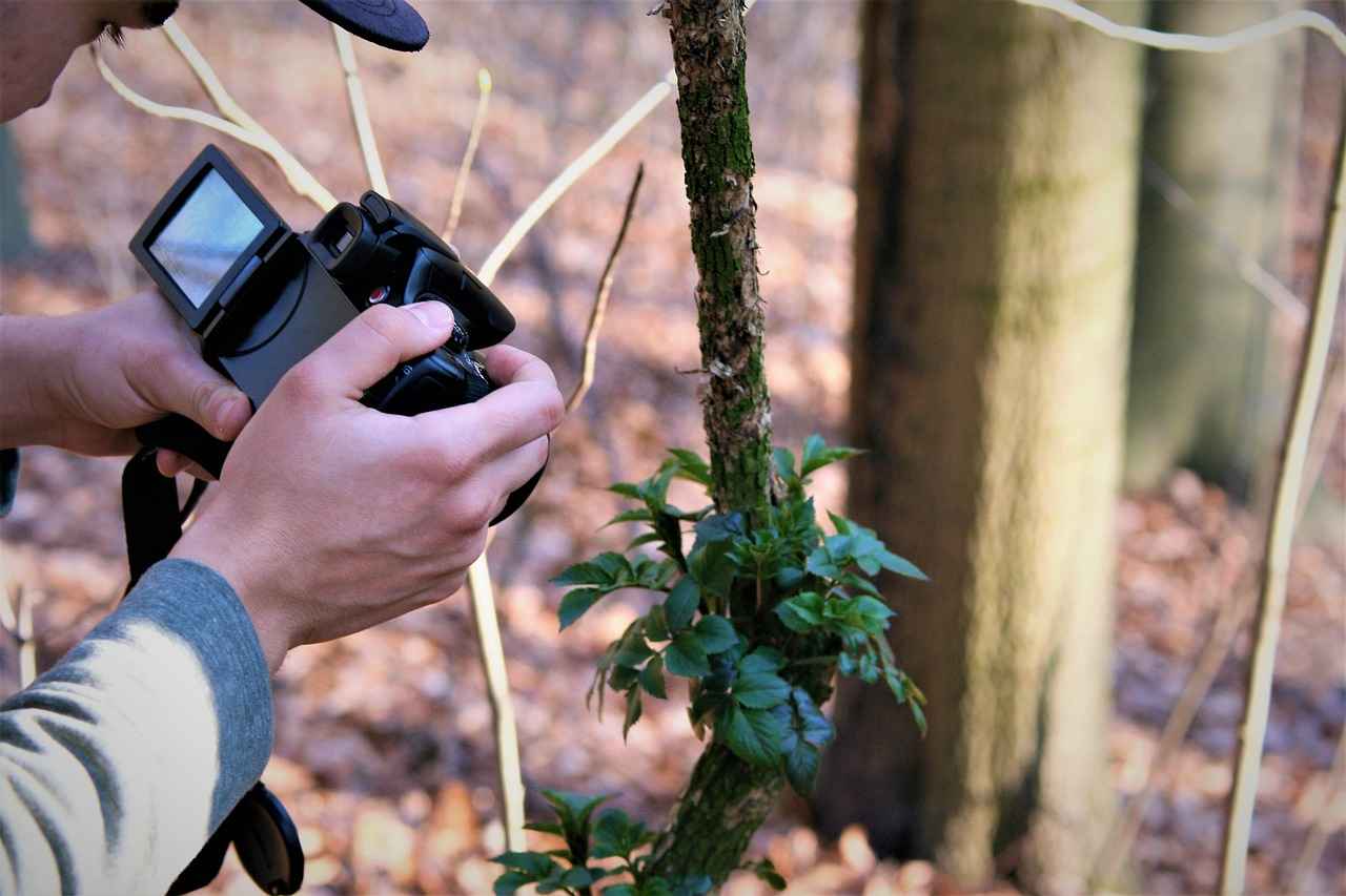 Top Action Cameras for Hiking in 2023