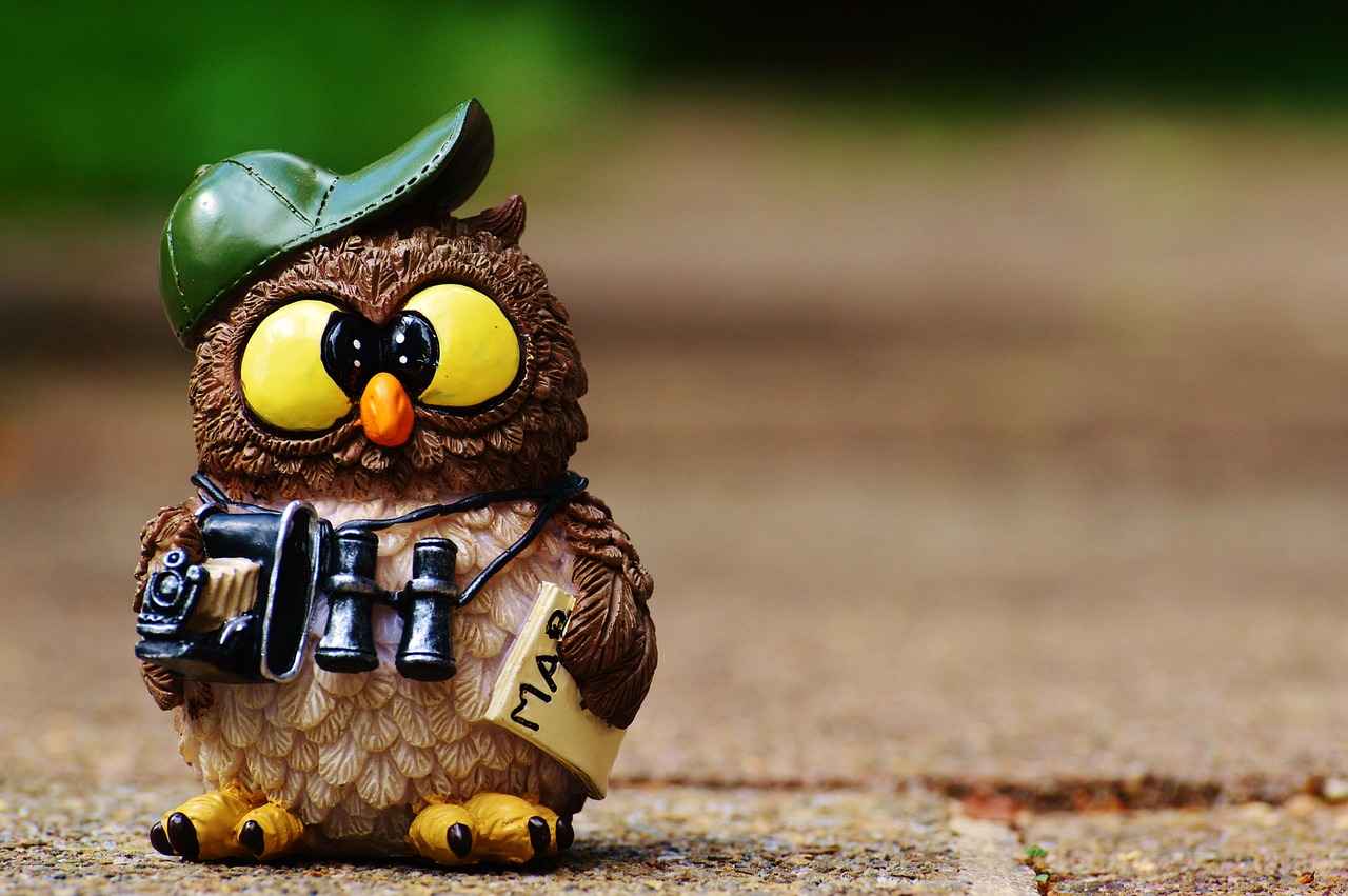 Best Action Cameras with GPS in 2023