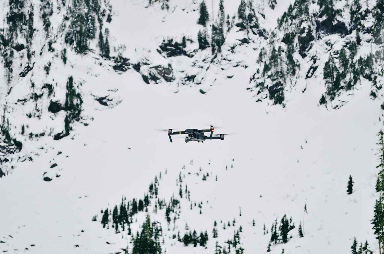 Are There Third-Party Battery Options for DJI Osmo Action 4?