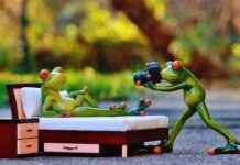 Foldable Action Cameras: The Next Big Thing? Foldable Action Cameras: The Next Big Thing?