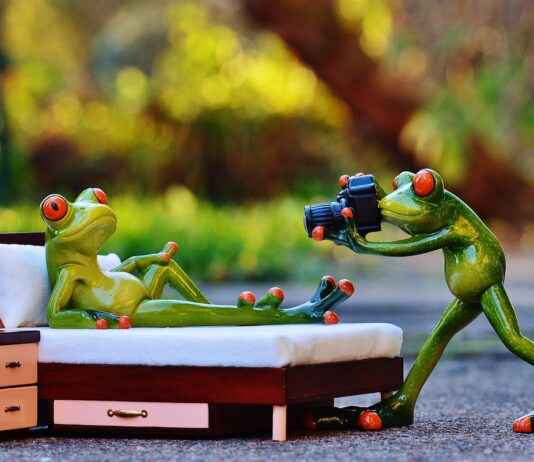 Foldable Action Cameras: The Next Big Thing? Foldable Action Cameras: The Next Big Thing?