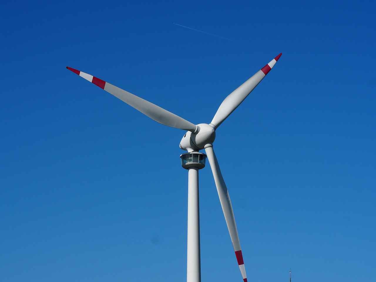 Where Can You Buy the Best GoPro Alternatives Under $100?