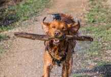 GoPro Hero 12 Black Hands-On Test: Real-World Performance Review GoPro Hero 12 Black Hands-On Test: Real-World Performance Review