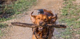 GoPro Hero 12 Black Hands-On Test: Real-World Performance Review GoPro Hero 12 Black Hands-On Test: Real-World Performance Review