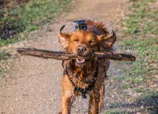 GoPro Hero 12 Black Hands-On Test: Real-World Performance Review GoPro Hero 12 Black Hands-On Test: Real-World Performance Review