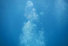 GoPro Hero 12 Dive Setup: Best Waterproof Housing & Underwater Accessories GoPro Hero 12 Dive Setup: Best Waterproof Housing & Underwater Accessories