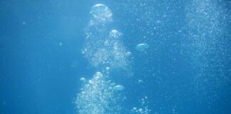 GoPro Hero 12 Dive Setup: Best Waterproof Housing & Underwater Accessories GoPro Hero 12 Dive Setup: Best Waterproof Housing & Underwater Accessories