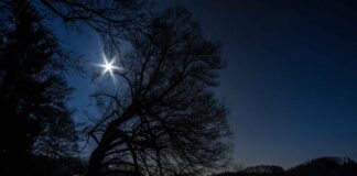 GoPro Hero 12 Night Mode Test: Is It Any Good in Low Light? GoPro Hero 12 Night Mode Test: Is It Any Good in Low Light?