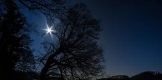 GoPro Hero 12 Night Mode Test: Is It Any Good in Low Light? GoPro Hero 12 Night Mode Test: Is It Any Good in Low Light?