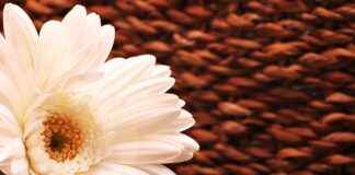 How AI-Powered Image Stabilization Is Transforming Action Cameras How AI-Powered Image Stabilization Is Transforming Action Cameras