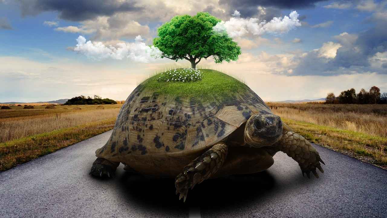 What is Slow-Motion Photography?