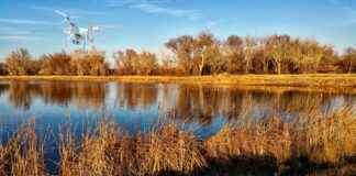 How to Connect an Action Camera to a Drone for Aerial Footage How to Connect an Action Camera to a Drone for Aerial Footage