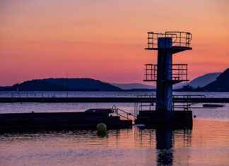 How to Film Crystal-Clear Scuba Diving Footage (Settings & Gear Guide) How to Film Crystal-Clear Scuba Diving Footage (Settings & Gear Guide)