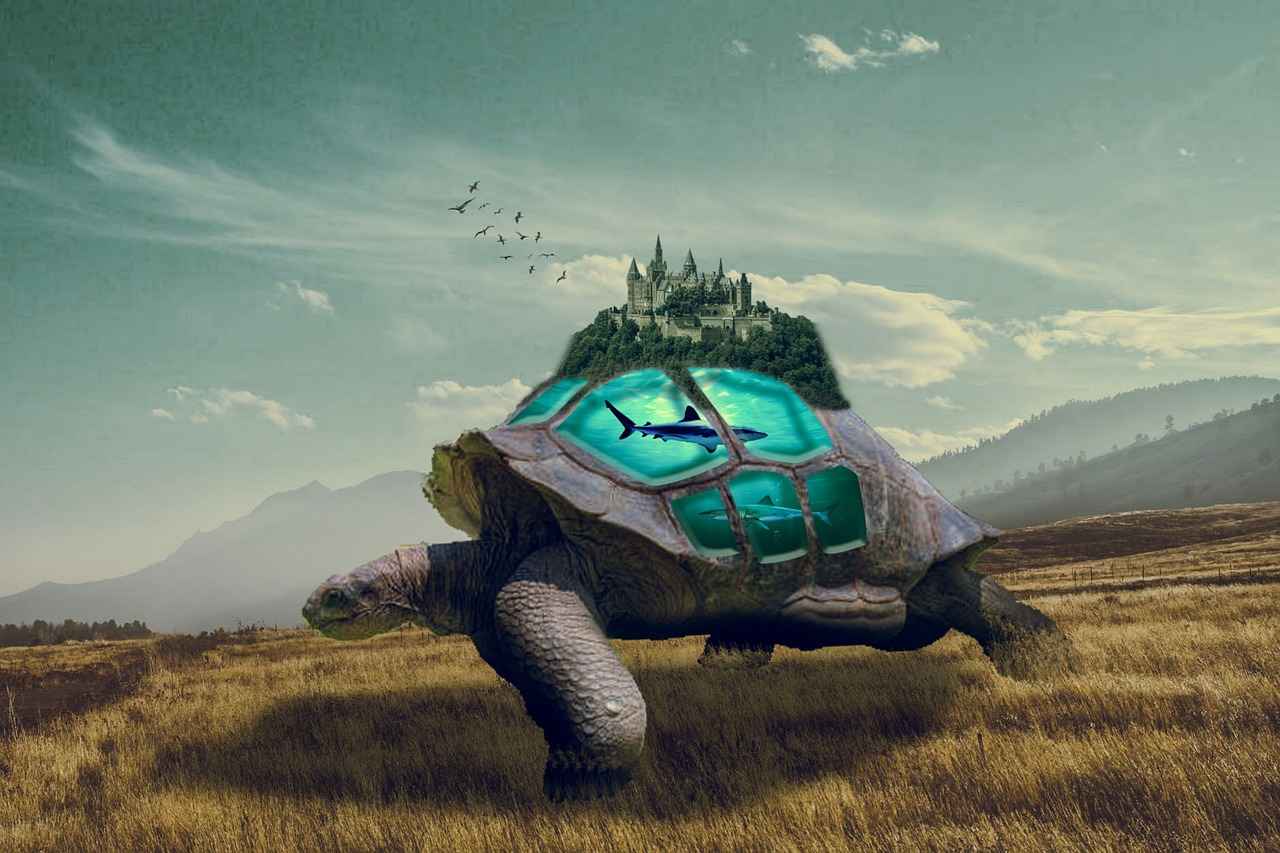 How to Set Up Your Action Camera for Underwater Filming?