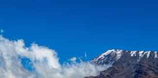 How to Mount an Action Camera on a Dog, Car, or Bike for Unique Angles How to Mount an Action Camera on a Dog, Car, or Bike for Unique Angles