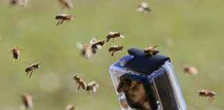 How to Prevent Water Damage & Fogging in Action Cameras How to Prevent Water Damage & Fogging in Action Cameras