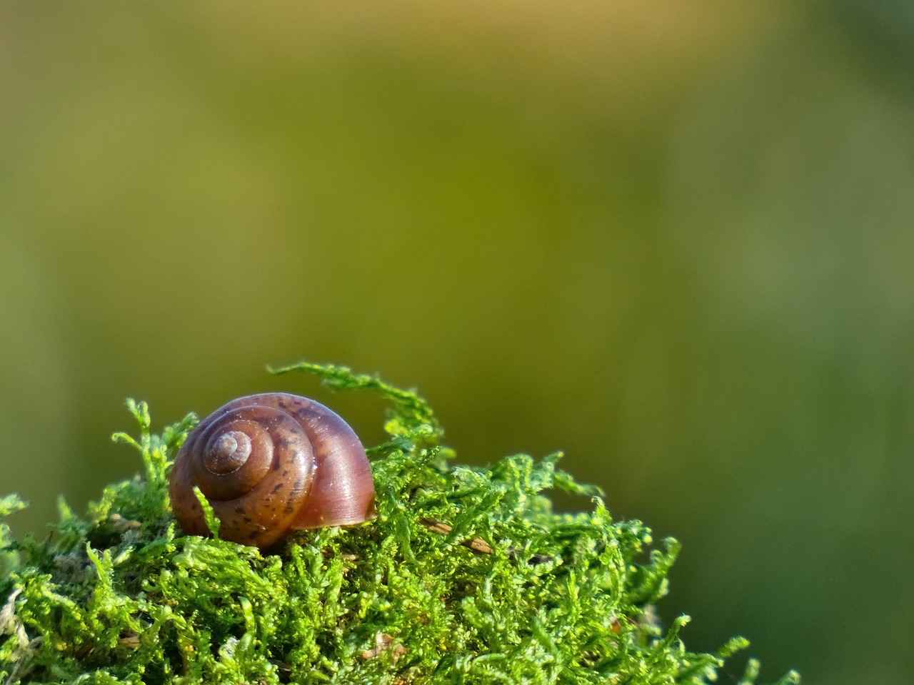 What is Slow Motion and Why Use It?