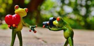 How to Update Your Action Camera Firmware: A Complete Guide How to Update Your Action Camera Firmware: A Complete Guide