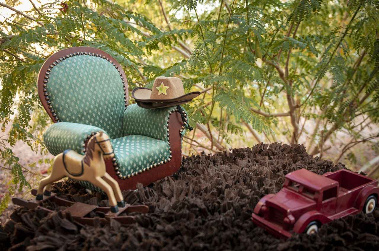 Can You Use a GoPro for Live Streaming?