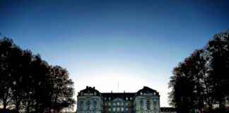 Insta360 X3 AI Editing Features: Are They Actually Useful? Insta360 X3 AI Editing Features: Are They Actually Useful?