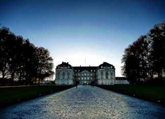 Insta360 X3 AI Editing Features: Are They Actually Useful? Insta360 X3 AI Editing Features: Are They Actually Useful?