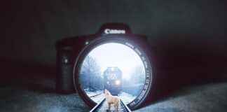 Insta360 X3 Mic Setup: How to Get the Best Audio Quality Insta360 X3 Mic Setup: How to Get the Best Audio Quality