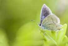 Insta360’s New Action Camera Just Changed the Game – Here’s Why Insta360’s New Action Camera Just Changed the Game – Here’s Why