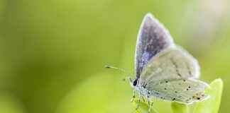 Insta360’s New Action Camera Just Changed the Game – Here’s Why Insta360’s New Action Camera Just Changed the Game – Here’s Why