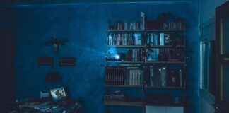 The Carbon Footprint of Action Cameras – How Brands Are Reducing Waste The Carbon Footprint of Action Cameras – How Brands Are Reducing Waste