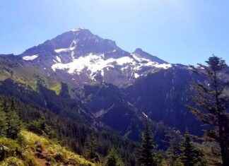 Top 10 GoPro Hero 12 Mounts for Every Adventure Top 10 GoPro Hero 12 Mounts for Every Adventure