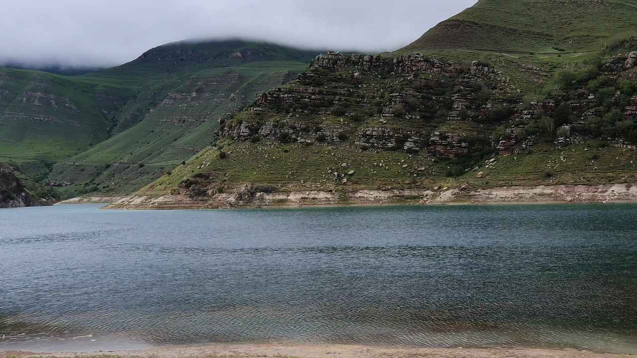 1. Chest Mount Harness: A Hands-Free Experience