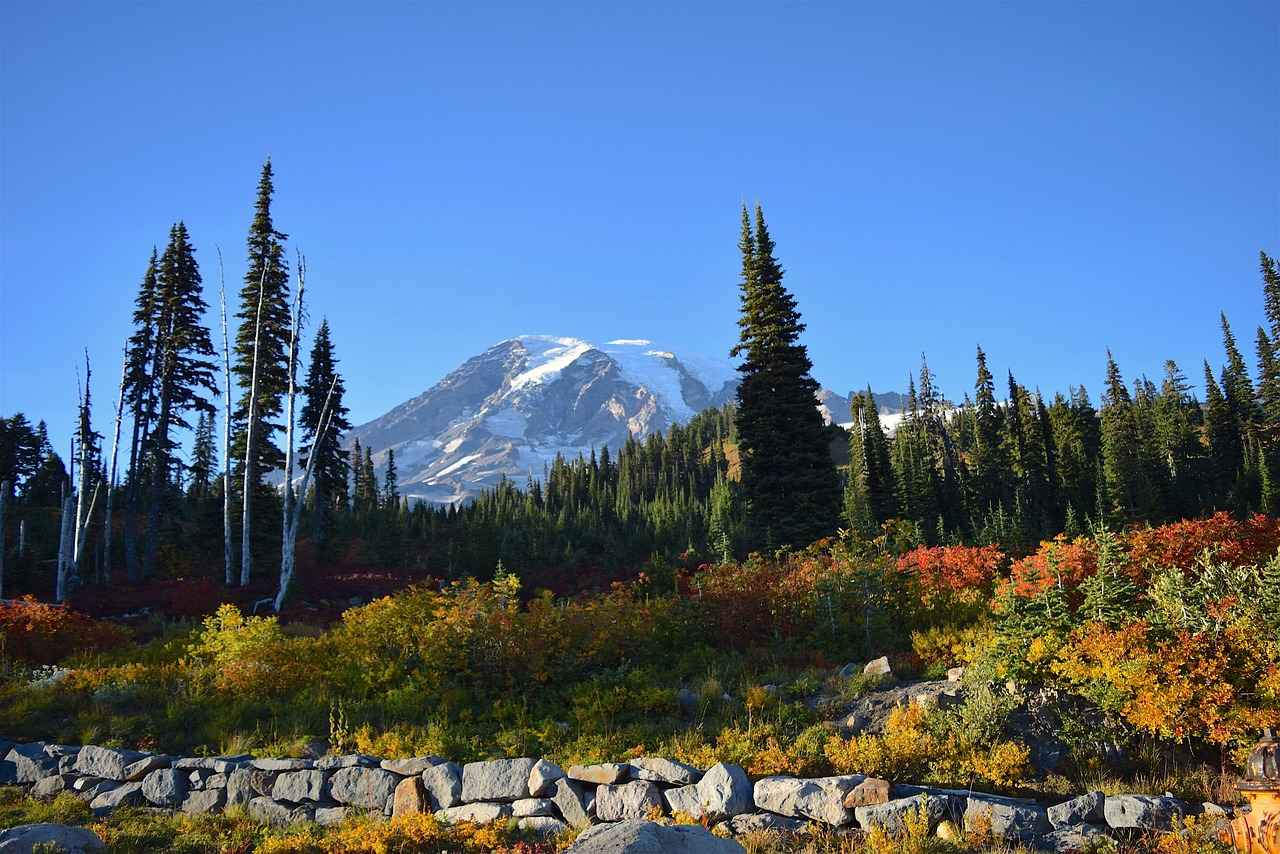 3. Tripod Mount: Stability for Static Shots