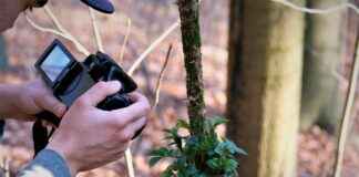 Top 5 Budget Action Cameras Compared: Which One Should You Get? Top 5 Budget Action Cameras Compared: Which One Should You Get?