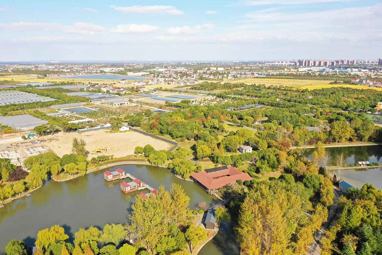 Top 5 DJI Osmo Action 4 Waterproof Cases for Deep Diving 6 Expert Tips for Underwater Filming with DJI Osmo Action 4