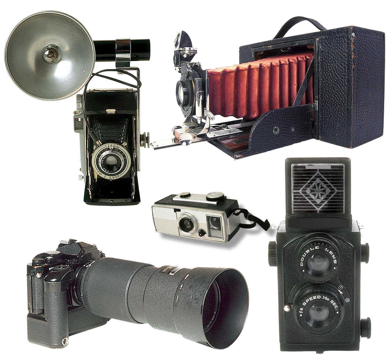 How Do Action Camera Brands Compare in Customer Satisfaction Surveys?