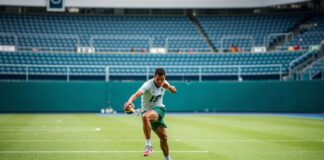 The Intersection of Sports and Sustainability: How Athletes are Leading the Green Movement The Intersection of Sports and Sustainability: How Athletes are Leading the Green Movement